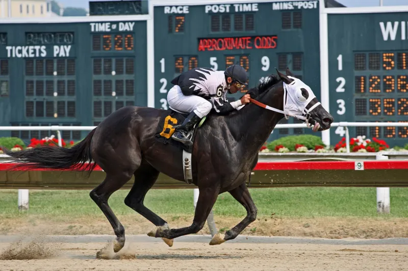 The Alchemy of Immortality: What Separates Racing's Legends from Its Forgotten Prospects
