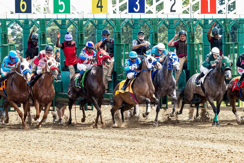 Bloodlines and Billions: Inside the Surging Yearling Market Reshaping American Thoroughbred Racing