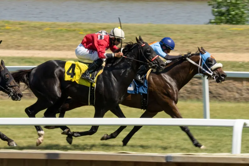 Careers Cut Short: The Injured Thoroughbreds Whose Absence Reshaped American Racing