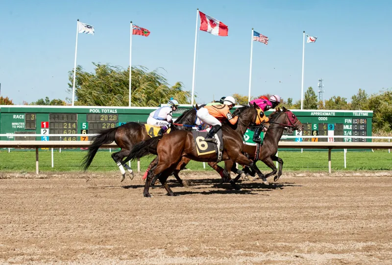 Crop or Consequence: Inside the Battle Over the Riding Whip That Is Dividing American Racing