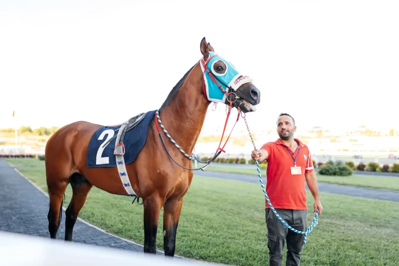 Beyond the Program: Mastering the Metrics That Separate Sharp Handicappers from the Crowd