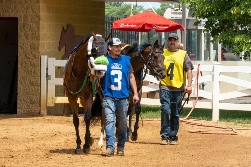 Sold Abroad: The Quiet Exodus of American Thoroughbreds to Overseas Markets